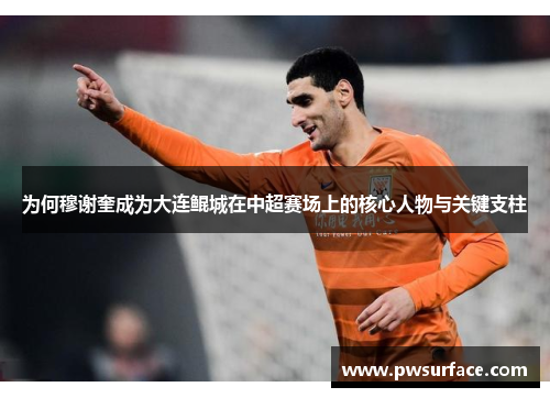 为何穆谢奎成为大连鲲城在中超赛场上的核心人物与关键支柱