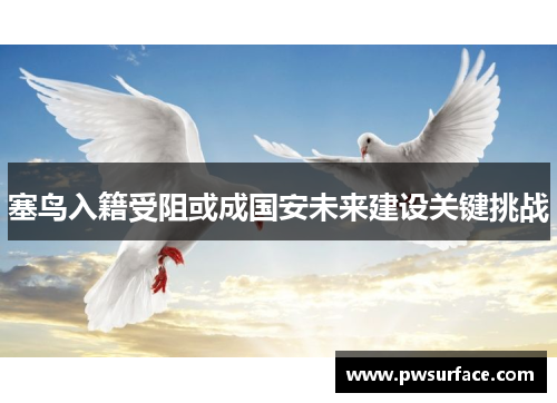 塞鸟入籍受阻或成国安未来建设关键挑战