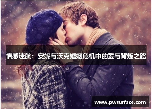 情感迷航：安妮与沃克婚姻危机中的爱与背叛之路