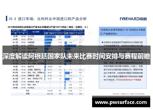 深度解读阿根廷国家队未来比赛时间安排与赛程前瞻