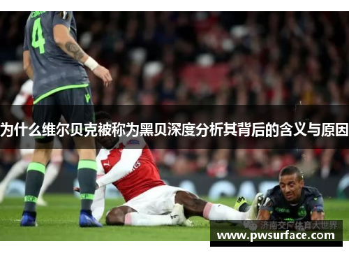 为什么维尔贝克被称为黑贝深度分析其背后的含义与原因