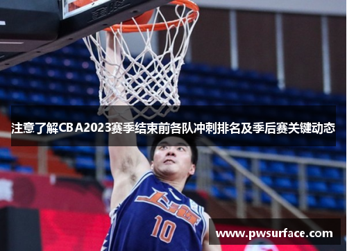 注意了解CBA2023赛季结束前各队冲刺排名及季后赛关键动态