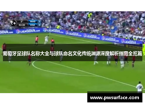 葡萄牙足球队名称大全与球队命名文化传统渊源深度解析指南全览篇