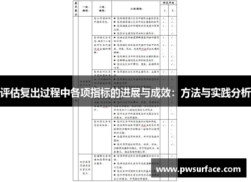 评估复出过程中各项指标的进展与成效：方法与实践分析